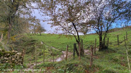  Se Vende en Valdaliga - CANTABRIA 