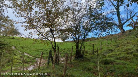 Se Vende en Valdaliga - CANTABRIA