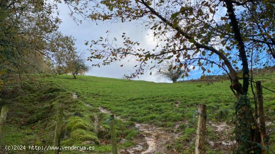 Se Vende en Valdaliga - CANTABRIA