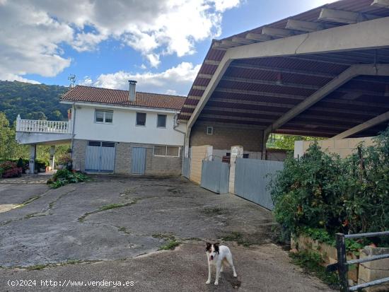 FINCA CON CASA Y NAVE EN SOBA (CANTABRIA) - CANTABRIA