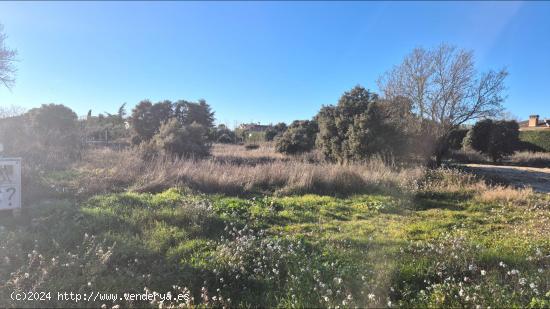 Parcela de 1874m2 en la que construir el chalet de tus sueños - MADRID