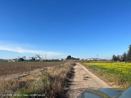 Terreno Almoradí Partida el Gabato 11.636 m2 Cerca Polígono Maromas y nuevo colegio - ALICANTE