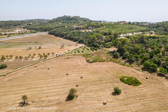 Solar rústico con licencia y proyecto en Montuiri - BALEARES