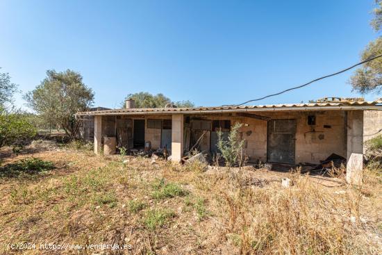 Terreno rústico con posibilidad de construir 3 viviendas unifamiliares en Felanitx - BALEARES