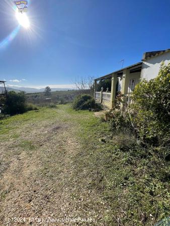 SE VENDE FINCA RÚSTICA POR LA CARRETERA ARCOS-ELBOSQUE - CADIZ