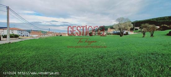 PARCELAS URBANAS EN EL CENTRO DE MERUELO. SAN MIGUEL DE MERUELO - CANTABRIA