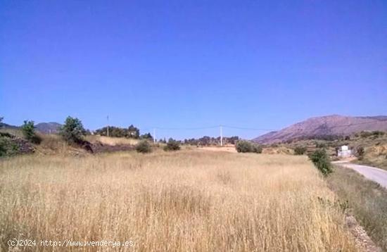  SUELO RUSTICO PARAJE LA BOQUERA, LA ROMANA - ALICANTE 