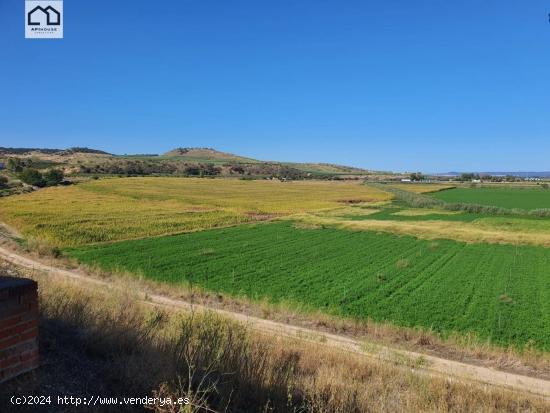 APIHOUSE VENDE FINCA DE REGADIO EN LA VEGA DEL RIO TAJO.   PRECIO INICIAL 125.000€ - TOLEDO