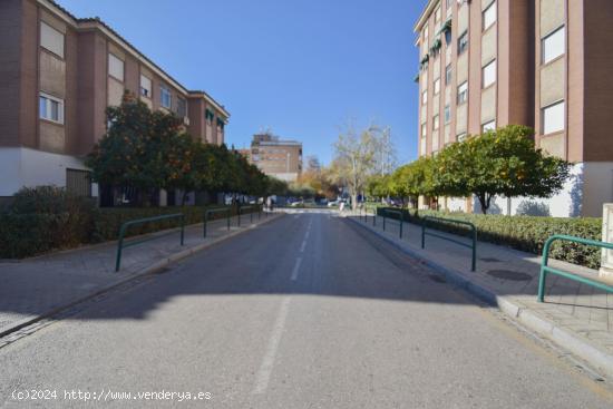 LOCAL COMERCIAL ZONA ALCAMPO - GRANADA