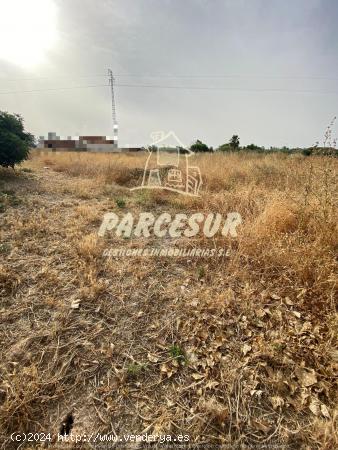 MAJANEQUE - Estupendo precio!! Parcela de 1.250m para inversión, recreo, huerto. - CORDOBA