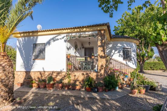 Se Vende en Guadix - GRANADA