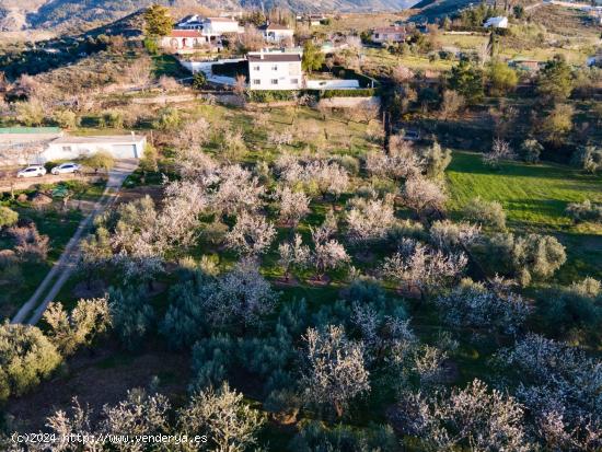 CORTIJO EN MONACHIL EN UNA PLANTA - GRANADA