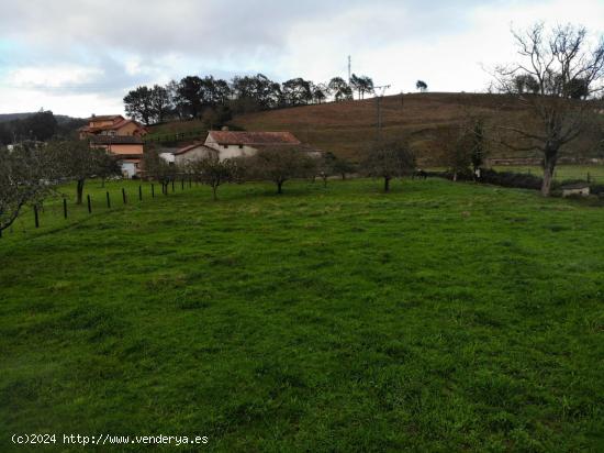 Finca Urbanizable en Venta - ASTURIAS