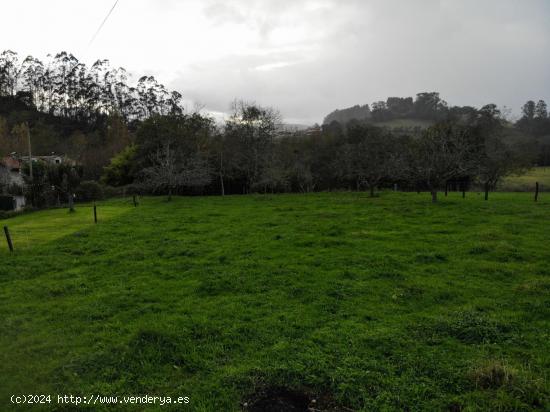 Finca Urbanizable en Venta - ASTURIAS