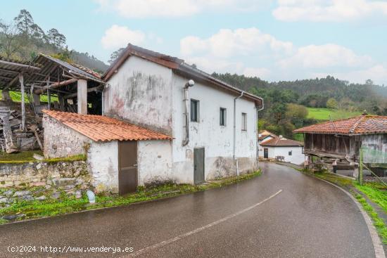  Casa de Pueblo con hórreo. - ASTURIAS 