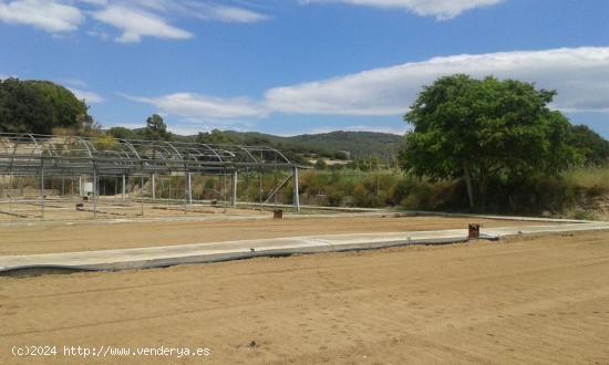 TERRENO RUSTICO CON USO PRINCIPAL AGRARIO  EN VENTA EN ARENYS DE MAR, BARCELONA - BARCELONA