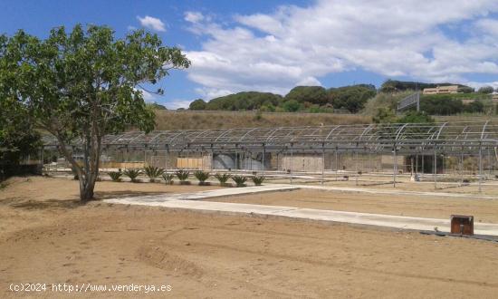 TERRENO RUSTICO CON USO PRINCIPAL AGRARIO  EN VENTA EN ARENYS DE MAR, BARCELONA - BARCELONA