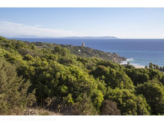 Solar en venta en Tarifa (Cádiz)