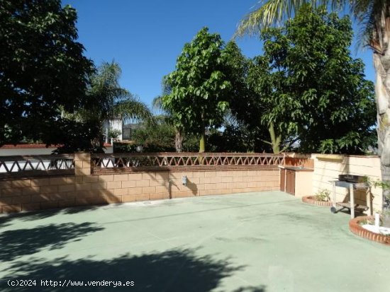  Casa en alquiler en Alhaurín de la Torre (Málaga) 