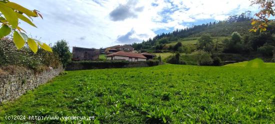 VENTA DE TERRENO PARA EDIFICAR EN AMBÁS - ASTURIAS