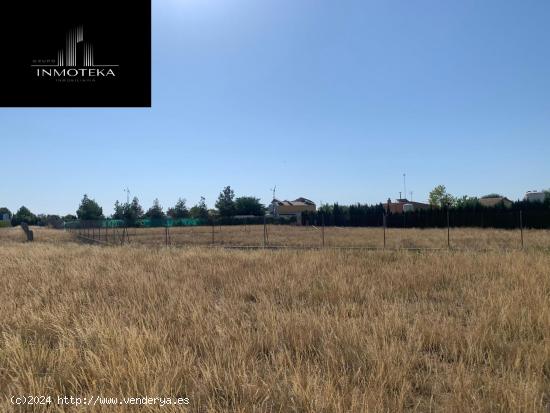 REF: C003 GRUPO INMOTEKA INMOBILIARIA VENDE TERRENO RUSTICO EN CASAS VIEJAS/ARCA DE NOE - ALBACETE