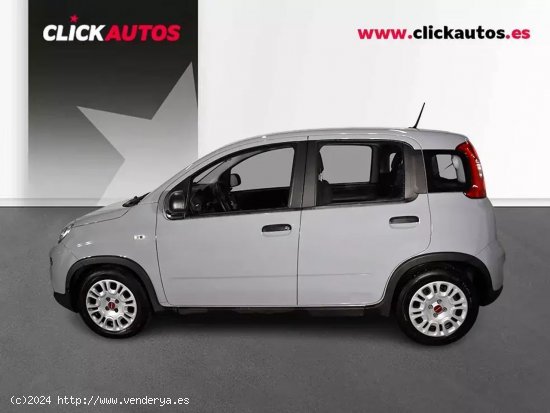 Fiat Panda 1.0 70CV Hybrid - Palma de Mallorca