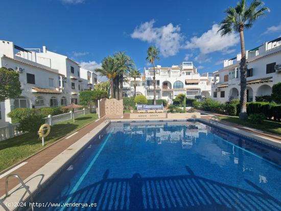 ADOSADO EN CIUDAD QUESADA , 3 DORMI.2 BAÑOS , PISCINA COM. - ALICANTE