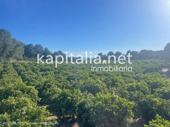 Finca rústica a la venta de naranjos a 5 min de Xativa (Valencia) - VALENCIA