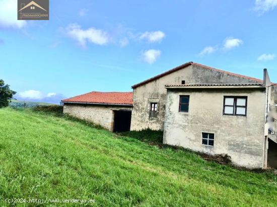 FINCA RÚSTICA EN AJO. - CANTABRIA