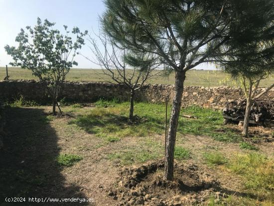 Se vende parcela en Aldea del Cano con casa incluida - CACERES