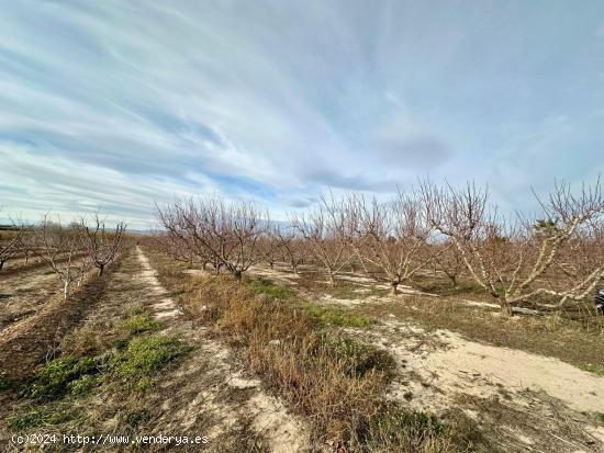 FINCA RUSTICA EN EL GINETE - MURCIA