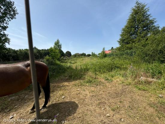 SE VENDE FINCA CERRADA RUSTICA EN SAN ANDRES DE MONTEJOS - LEON