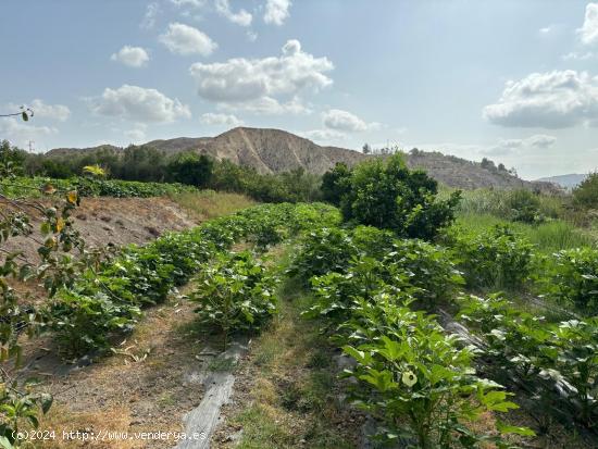 Terreno de cultivo en Terque - ALMERIA