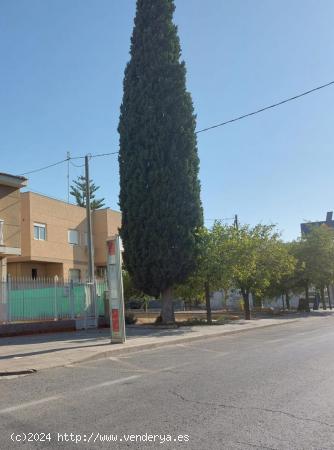 Casa en bajo de 3 dormitorios en los Dolores, Murcia - MURCIA