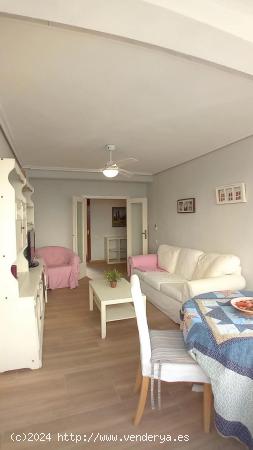 Acogedora vivienda en el Bulevar del Pla - ALICANTE