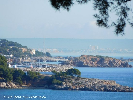 Solar en venta en Calvià (Baleares)