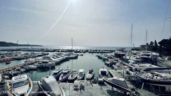 Casa en alquiler en Palma de Mallorca (Baleares)