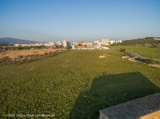 Solar en venta en Calvià (Baleares)