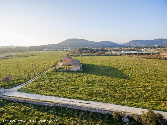 Solar en venta en Calvià (Baleares)