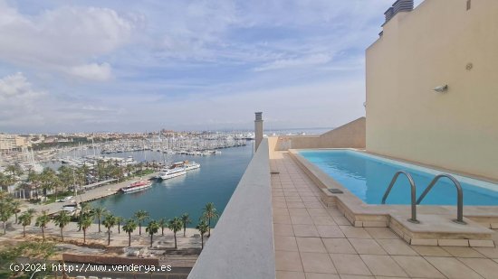  Apartamento en alquiler en Palma de Mallorca (Baleares) 