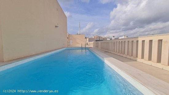 Apartamento en alquiler en Palma de Mallorca (Baleares)