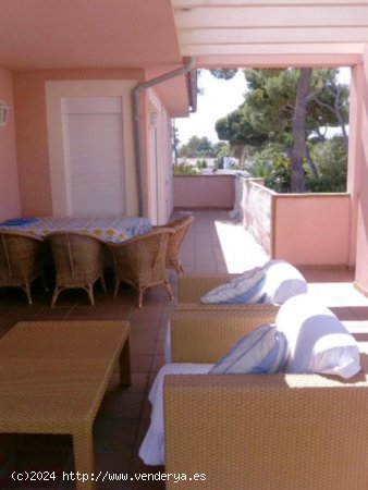 Apartamento en alquiler en Alcúdia (Baleares)