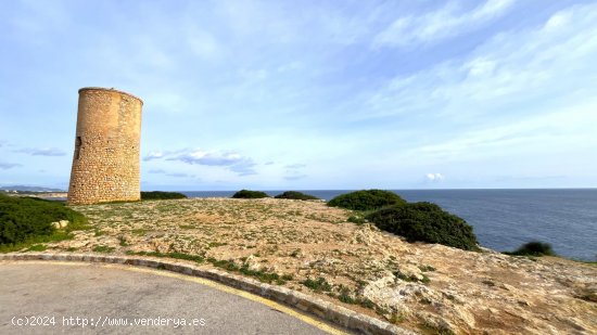 Villa en alquiler en Manacor (Baleares)