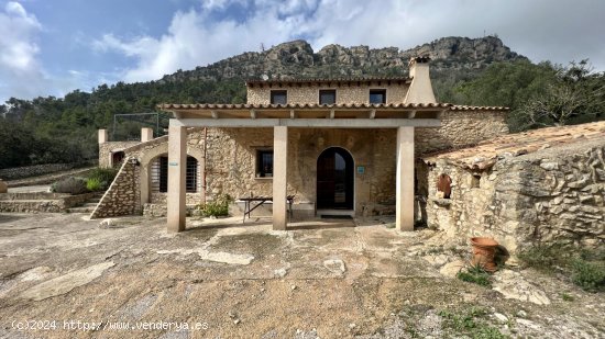 Finca en venta en Llucmajor (Baleares)