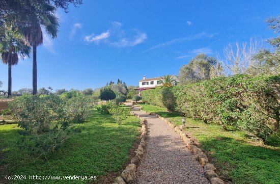 Finca en venta en Llucmajor (Baleares)