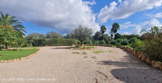 Finca en venta en Llucmajor (Baleares)