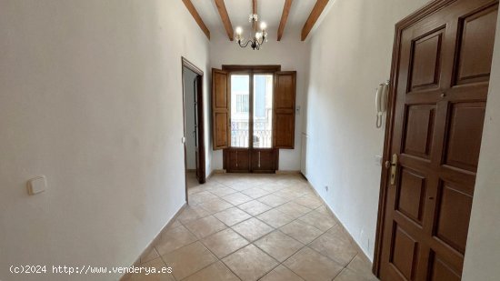 Apartamento en alquiler en Palma de Mallorca (Baleares)