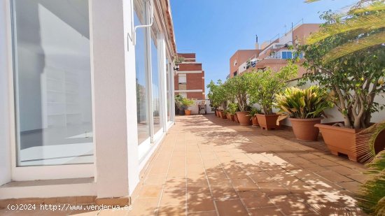 Apartamento en alquiler en Palma de Mallorca (Baleares)