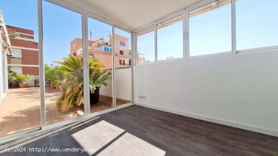 Apartamento en alquiler en Palma de Mallorca (Baleares)