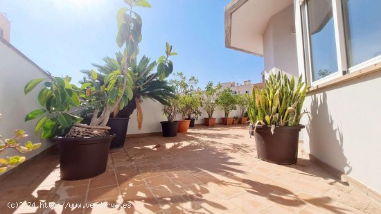 Apartamento en alquiler en Palma de Mallorca (Baleares)